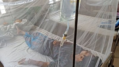 হাসপাতালে চিকিৎসাধীন ডেঙ্গু রোগী (ফাইল ফটো)
