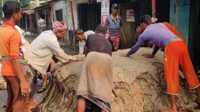 বড় ধরনের লোকসানে পড়েছেন মৌসুমি ব্যবসায়ীরা