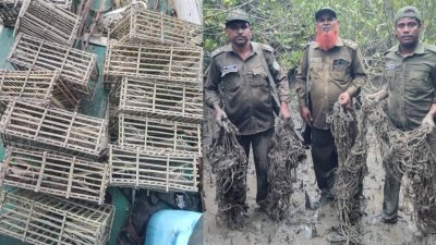 হরিণ শিকারের ফাঁদ ও কাঁকড়া শিকারের চারু জব্দ