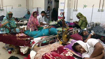 বরিশাল বিভাগে ডেঙ্গু রোগী বেশি, বরগুনায় চিকিৎসা দিতে হিমশিম