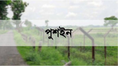 পুশইন