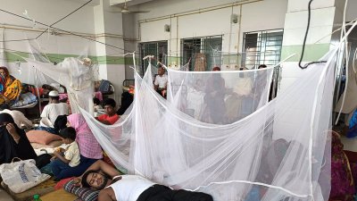 বর্তমানে জেলার বিভিন্ন হাসপাতালে মোট ভর্তি রোগীর সংখ্যা ২৪২ জন