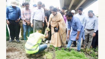 গাছের চারা লাগিয়ে বনায়ন কর্মসূচির উদ্বোধন করেন পরিবেশ উপদেষ্টা সৈয়দা রিজওয়ানা হাসান