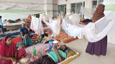 বরগুনা জেনারেল হাসপাতালে ডেঙ্গু রোগী