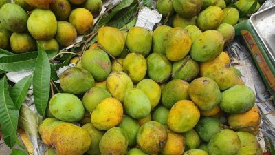 ছবি- বাংলা ট্রিবিউন