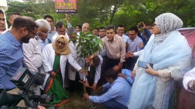 বিএমইউতে বৃক্ষরোপণ কর্মসূচি