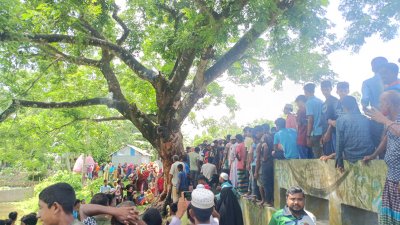 অলৌকিক ঘটনা ভেবে অনেকেই গাছটি দেখতে ভিড় জমাচ্ছেন