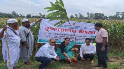 বৃক্ষরোপণ কার্যক্রম উদ্বোধন