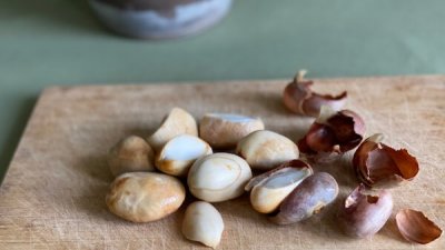 ছবি- সংগৃহীত