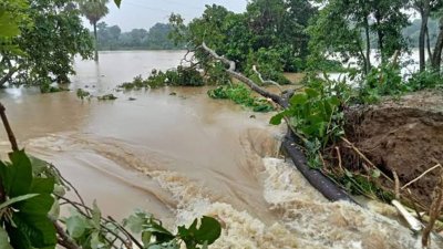 বাঁধ ভেঙে লোকালয়ে ঢুকছে পানি