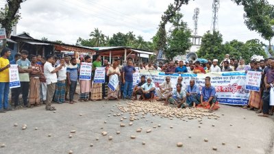 আলু ফেলে সড়ক অবরোধ কৃষকদের