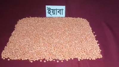 উদ্ধারকৃত ইয়াবা