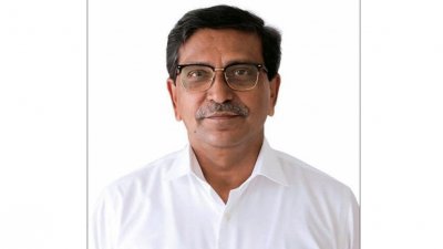 মাহবুব উল আলম হানিফ (ফাইল ছবি)