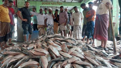 ৬১ মণ ইলিশ নিয়ে মৎস্য বন্দর আলীপুর ঘাটে এসেছে ট্রলারটি