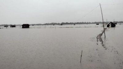 ভারি বর্ষণে তলিয়ে গেছে ফসলের ক্ষেত