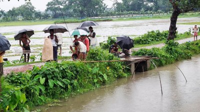বৃষ্টিতে দলবেঁধে মাছ শিকারে নেমেছেন অনেকে