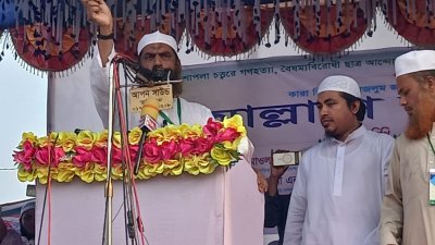 গণসমা‌বে‌শে প্রধান অতিথির বক্ত‌ব্যে মামুনুল হক