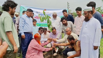 বৃক্ষরোপণ কর্মসূচি