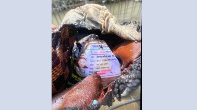 মেয়েকে নিতে এসে নিখোঁজ মায়ের এনআইডি কার্ড