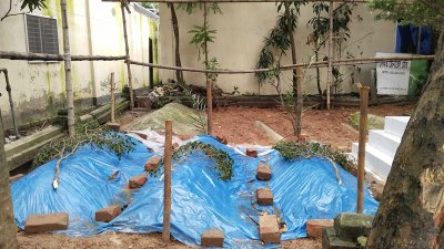 পাশাপাশি চিরনিদ্রায় বাপ্পি, আরিয়ান ও হুমায়ের