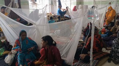 হাসপাতালে ডেঙ্গু রোগী