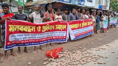 আলুর মূল্য নির্ধারণের দাবিতে মানববন্ধন ও প্রতিবাদ সমাবেশ