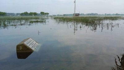 ডুবে যাওয়া ক্ষেত-খামার