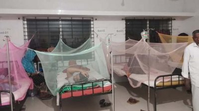 ডেঙ্গু, চিকুনগুনিয়া থেকে রক্ষা পেতে হলে মশার কামড় থেকে রক্ষা পেতে হবে