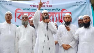 বক্তব্য দিচ্ছেন মাওলানা মুহাম্মাদ মামুনুল হক