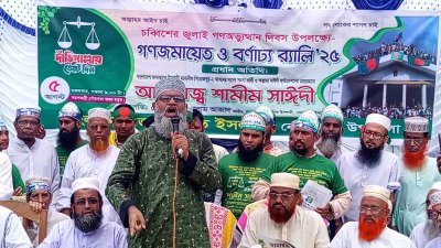 প্রধান অতিথির বক্তব্যে শামীম সাঈদী