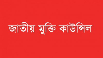জাতীয় মুক্তি কাউন্সিল লোগো