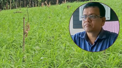 মরে গেছে ক‌ফি ও কাজুবাদাম প্রকল্পের চারা, কৃষ‌কের জমিতে জুম‌ চাষ; পাশে প্রকল্প প‌রিচালক মো. জ‌সিম উদ্দি‌ন