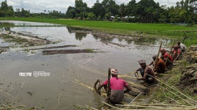 কুড়িগ্রামে ডোবা ও বি‌লে পর্যাপ্ত পা‌নি না থাকায় কৃ‌ষিজ‌মি‌তে পাট জাগ দি‌য়ে‌ছেন চাষিরা