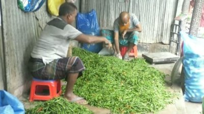 আমদানি করা কাঁচা মরিচ