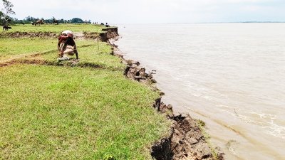 নদীতে বিলীন হচ্ছে কৃষিজমি