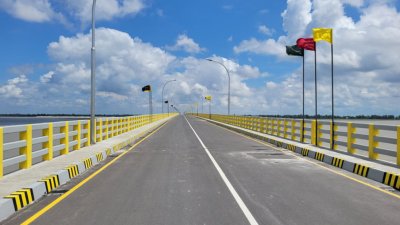 মওলানা ভাসানী সেতু (ছবি: সংগৃহীত)