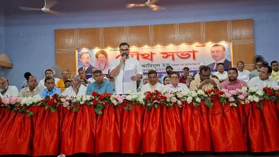 সভায় বক্তব্য রাখছেন আমিনুল হক