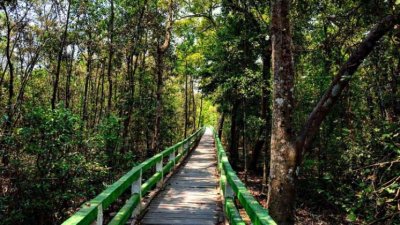আবারও খুলছে সুন্দরবনের দ্বার
