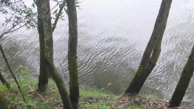 সাতক্ষীরার আশাশুনি উপজেলায় বেড়িবাঁধের পাশ থেকে বিজন কুমার দে (৬২) নামে এক আওয়ামী লীগ নেতার লাশ উদ্ধার করেছে পুলিশ