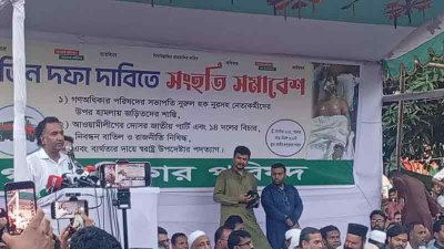 বক্তব্য দিচ্ছেন হাবিব উন নবী খান সোহেল