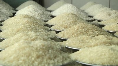 চাল (ছবি: সংগৃহীত)
