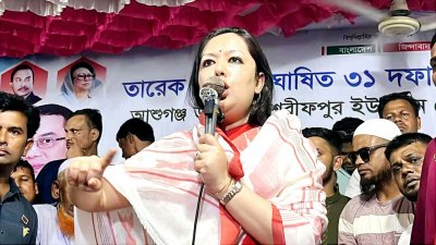 সমাবেশে বক্তব্য দিচ্ছেন ব্যারিস্টার রুমিন ফারহানা