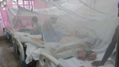 ডেঙ্গু রোগী