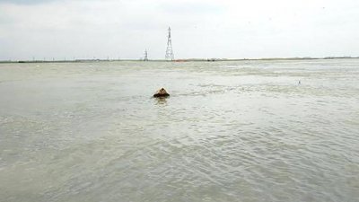 ধনু নদী