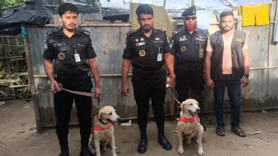 দুটি প্রশিক্ষিত কুকুরের সহায়তায় অভিযান চালানো হয়