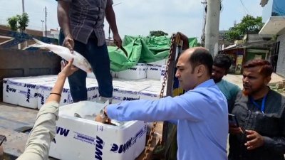 দুর্গাপূজা উপলক্ষে যশোরের বেনাপোল স্থলবন্দর দিয়ে দ্বিতীয় চালানে ভারতে গেলো ২৬ দশমিক ৩৫ মেট্রিক টন ইলিশ মাছ