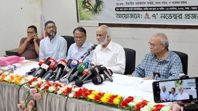 অনুষ্ঠানে বক্তব্য রাখছেন বিএনপির স্থায়ী কমিটির সদস্য ড. আব্দুল মঈন খান