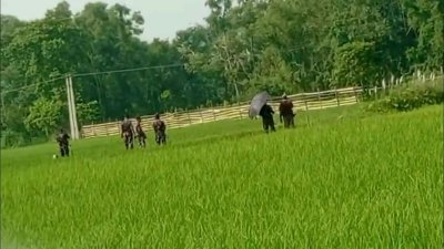 সীমান্তে বাঁশের বেড়া