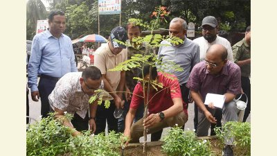 ডিএনসিসির ৩১ কি. মি. দৈর্ঘ্যের রোড মিডিয়ানে বৃক্ষরোপণ ও সবুজায়নের উদ্বোধন করছেন ডিএসসিসি প্রশাসক মো. শাহজাহান মিয়া