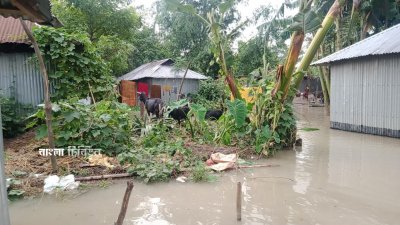 লালমনিরহাট ও নীলফামারী জেলার নিম্নাঞ্চল ও চরাঞ্চলে বন্যার শঙ্কা দেখা দিয়েছে